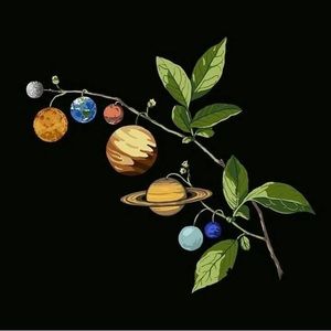 Meet your Posher, Jane